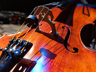 Contrabbasso: livello intermedio