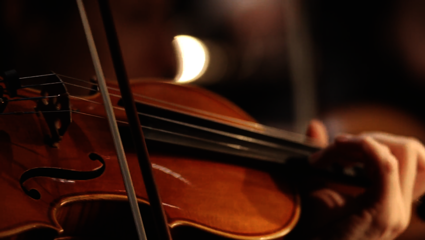 corso violino principianti corso violino principianti